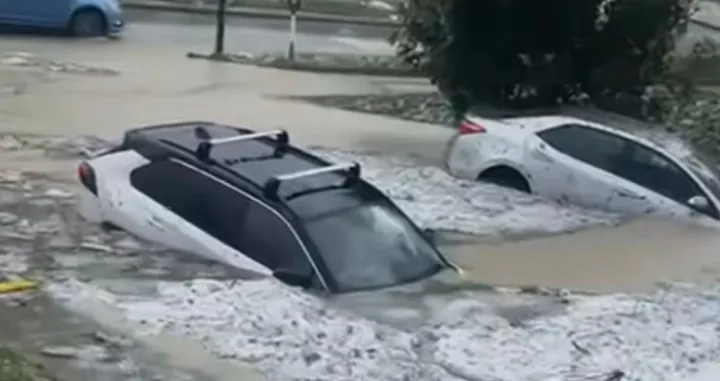 Potopljeni automobili/X.com//