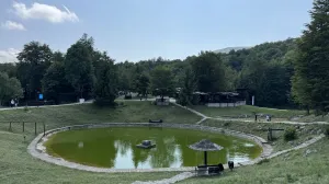 Javor Wood Festival pretvara planinu u galeriju pod otvorenim nebom/Nihad Katica