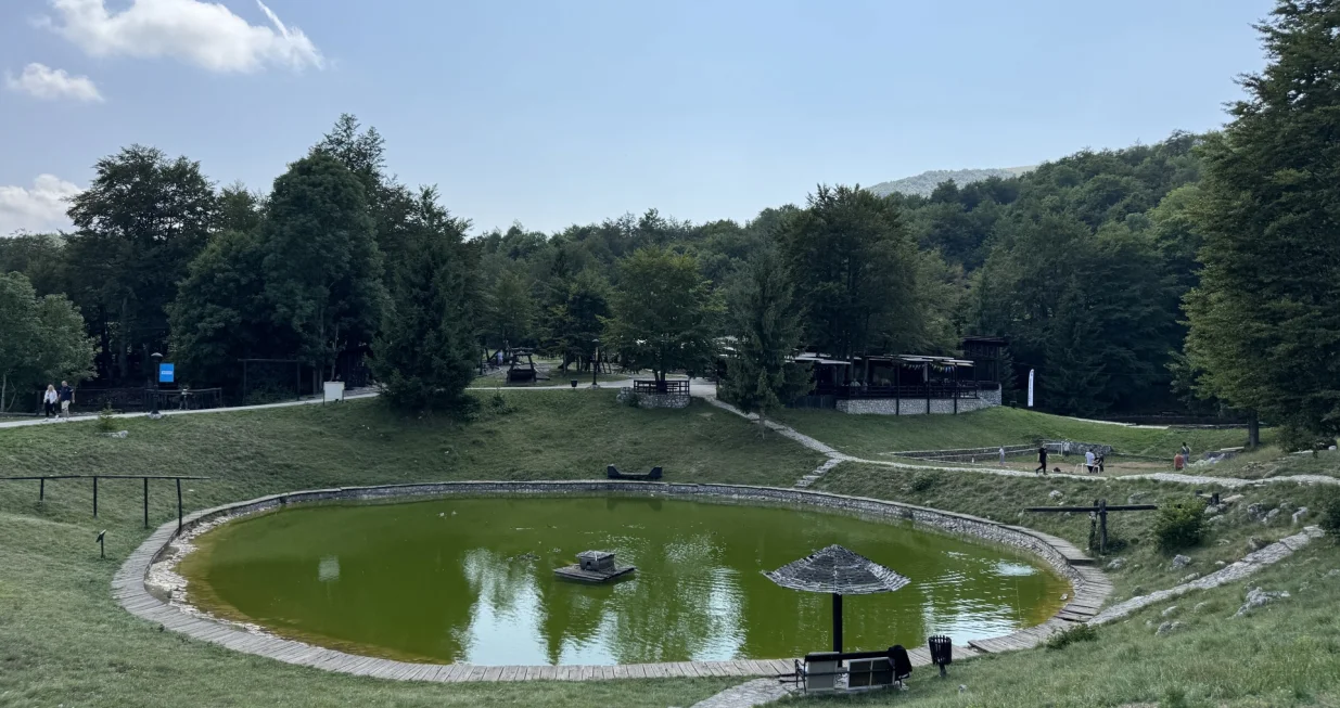 Javor Wood Festival pretvara planinu u galeriju pod otvorenim nebom/Nihad Katica