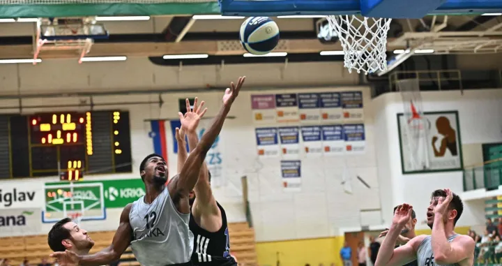 Krka - Dinamo (FOTO: KK Krka)/Foto: 
