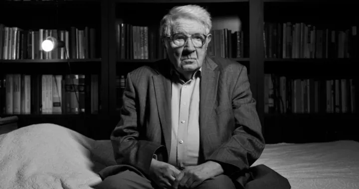 milivoj solar, akademik, teoretičar književnosti, teorija/