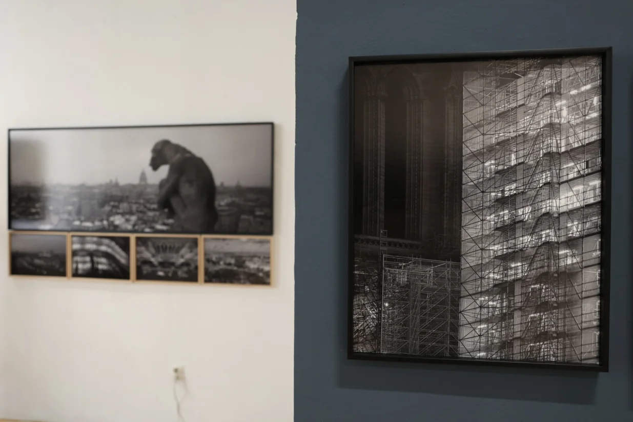 Trideset šest pogleda na Notre Dame/Hamza Duraković