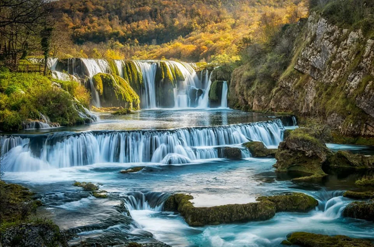 Strbacki_buk_ DZINO_DZENAD/