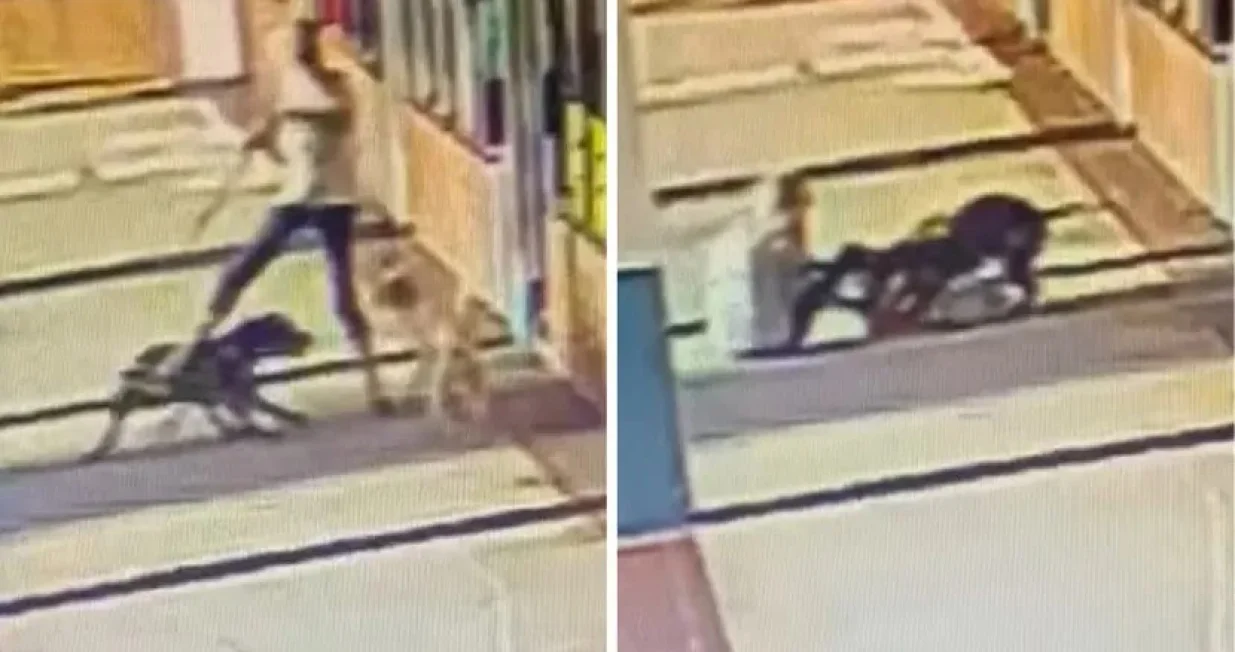 Starica je hrabro branila svog psa/Facebook