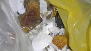 Oduzete sporne gljive/PU Doboj//