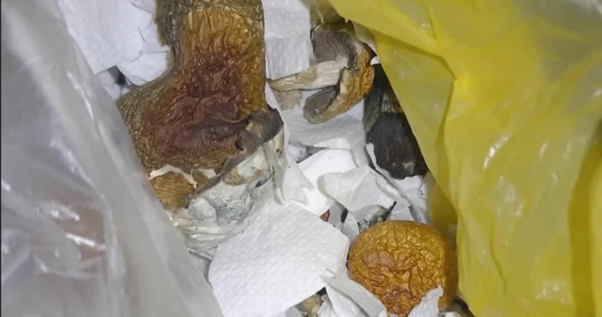 Oduzete sporne gljive/PU Doboj//