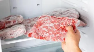 zamrznuto meso/Ilustracija/-