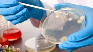 zdravstveno istraživanje/