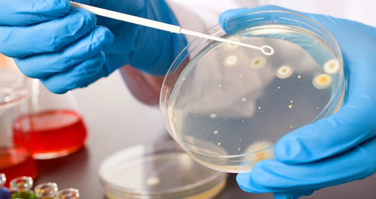 zdravstveno istraživanje/