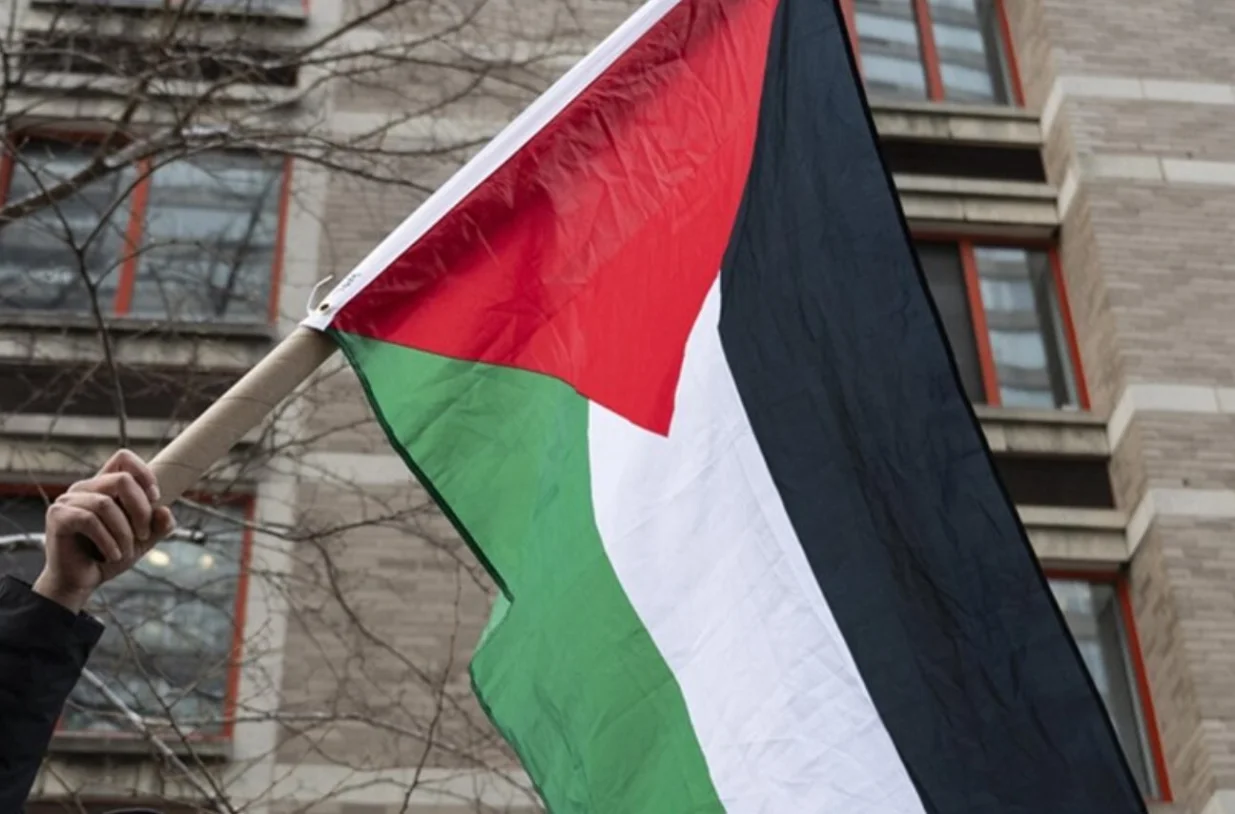 palestina, palestinska zastava/Anadolija