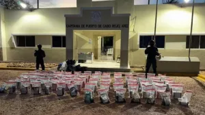 Zaplijenjena veća količina droge/La Dirección Nacional de Control de Drogas//