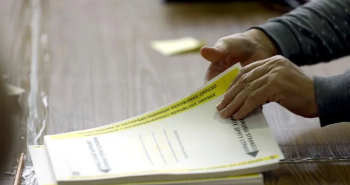 Pripreme za izbore/Ilustracija/Fena/