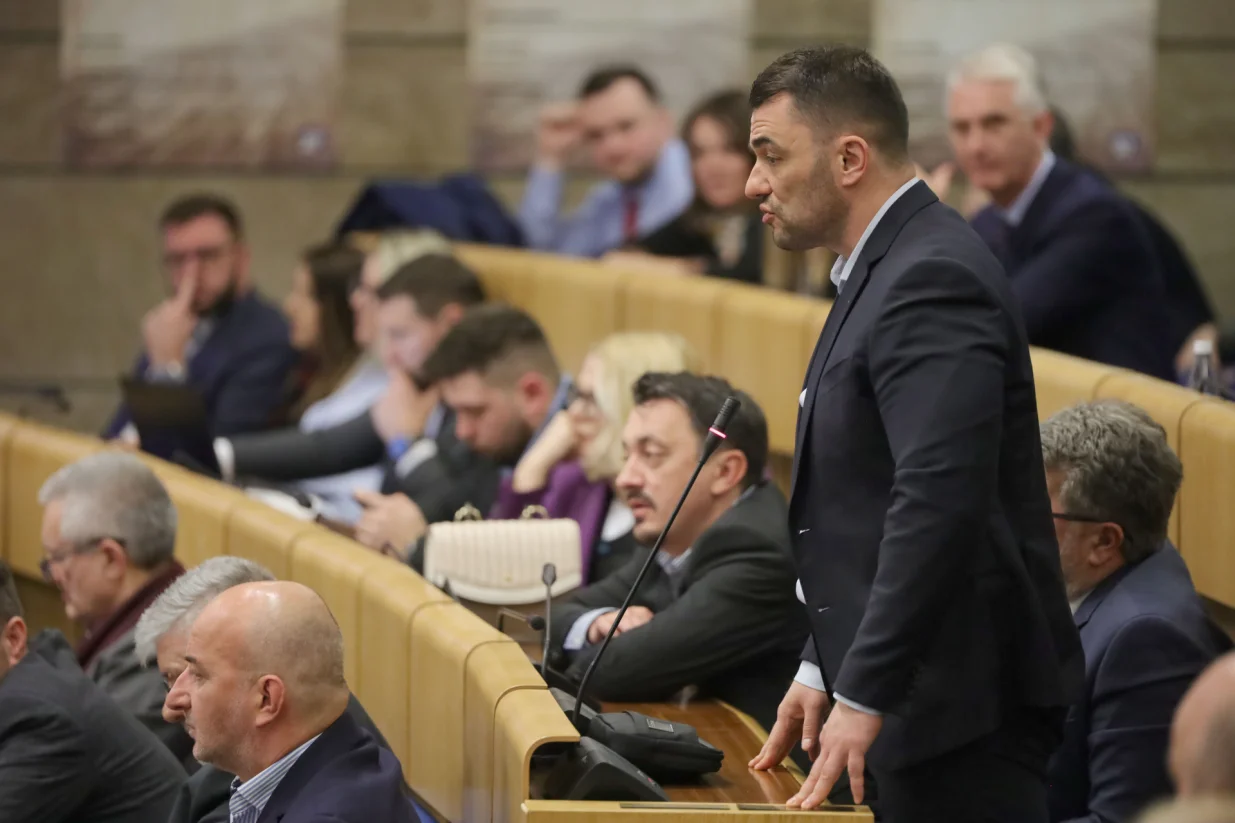 Predstavnički dom Parlamenta FBih mart 2024/Senad Gubelić