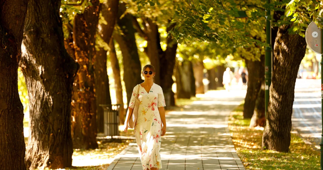 Početak Jeseni 2025/Damir Deljo