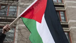 palestina, palestinska zastava/Anadolija