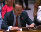 Radoslaw Sikorski poslao nedvosmislenu poruku/Screenshot/