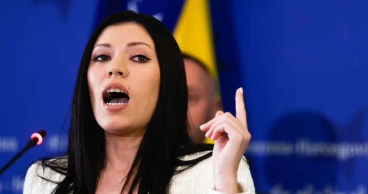 Vulić izjava hitna sjednica jena Konakovića/Damir Deljo