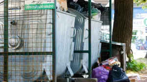 Smeće i komunalije/Damir Deljo