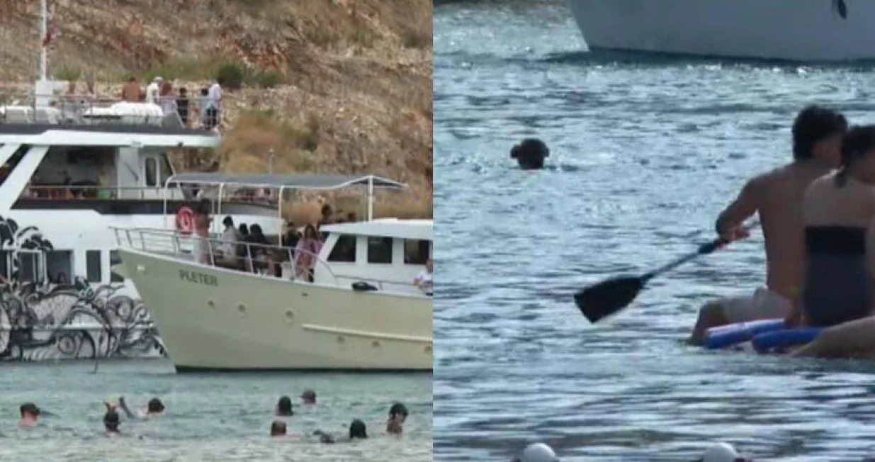 Stanje na Šolti haotičn/Hrt