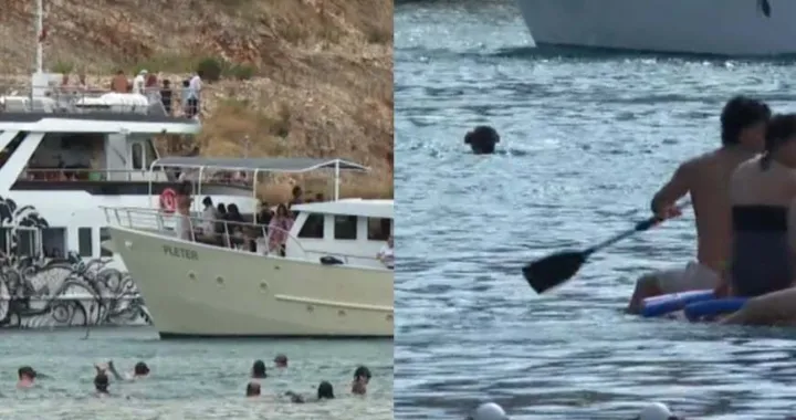 Stanje na Šolti haotičn/Hrt