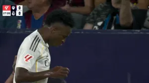 Slavlje Viniciusa/Foto: 