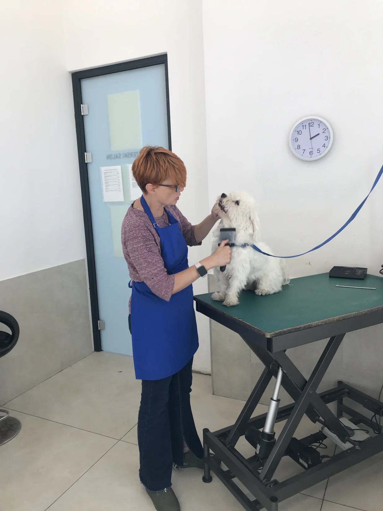 Gorjanka Trifunovic grumer u Ketti svijetu ljubimaca/Tanja Cerić