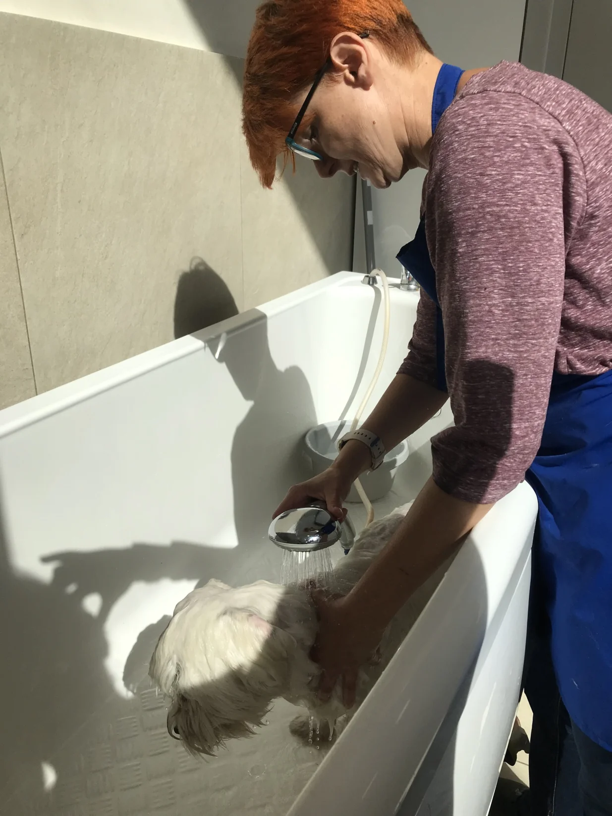 Gorjanka Trifunovic grumer u Ketti svijetu ljubimaca/Tanja Cerić