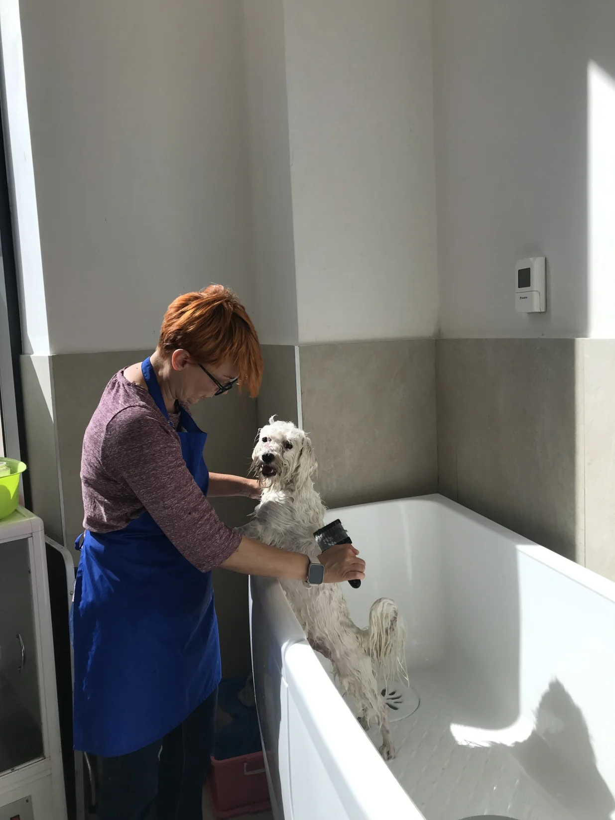 Gorjanka Trifunovic grumer u Ketti svijetu ljubimaca/Tanja Cerić