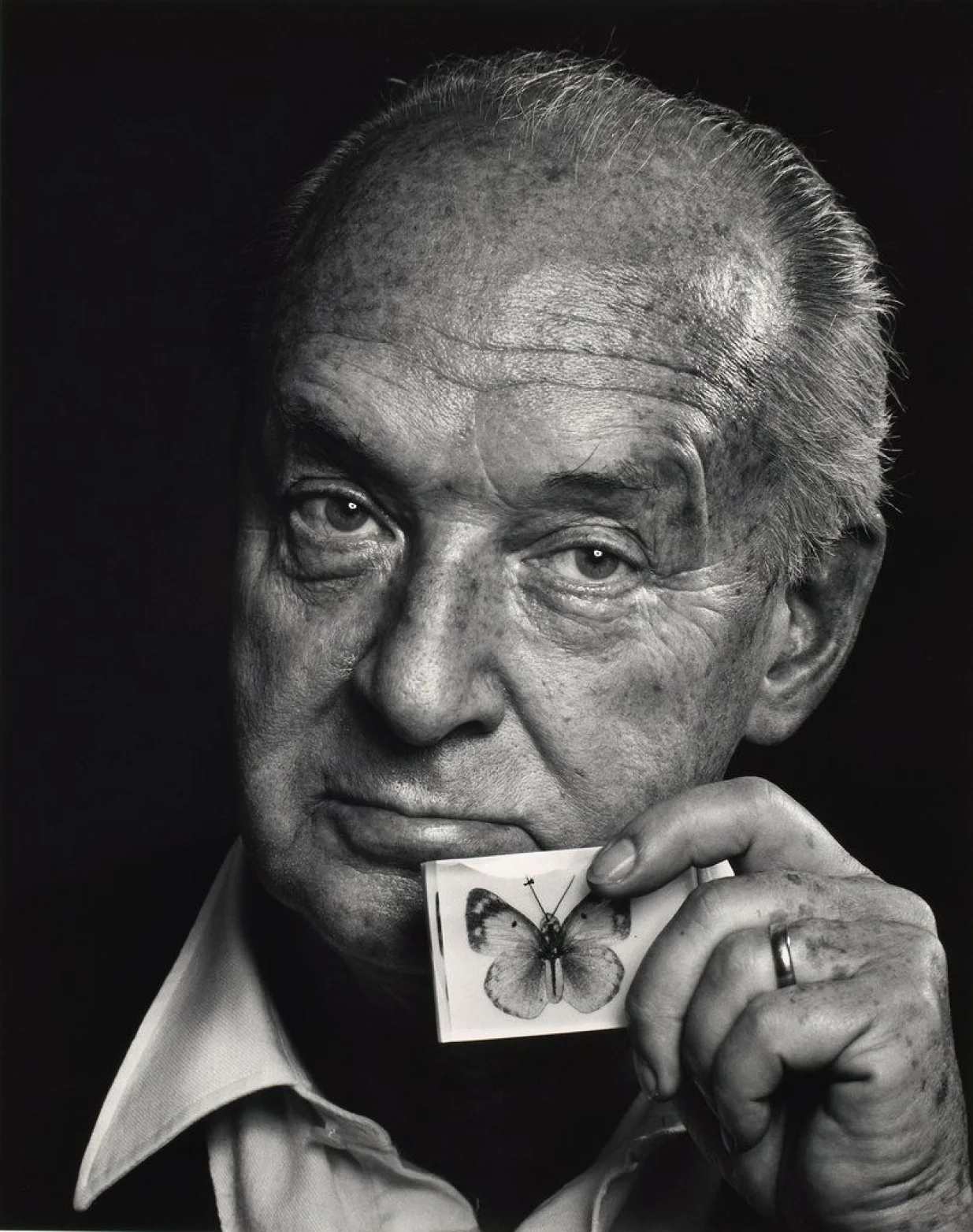 Vladimir Nabokov/