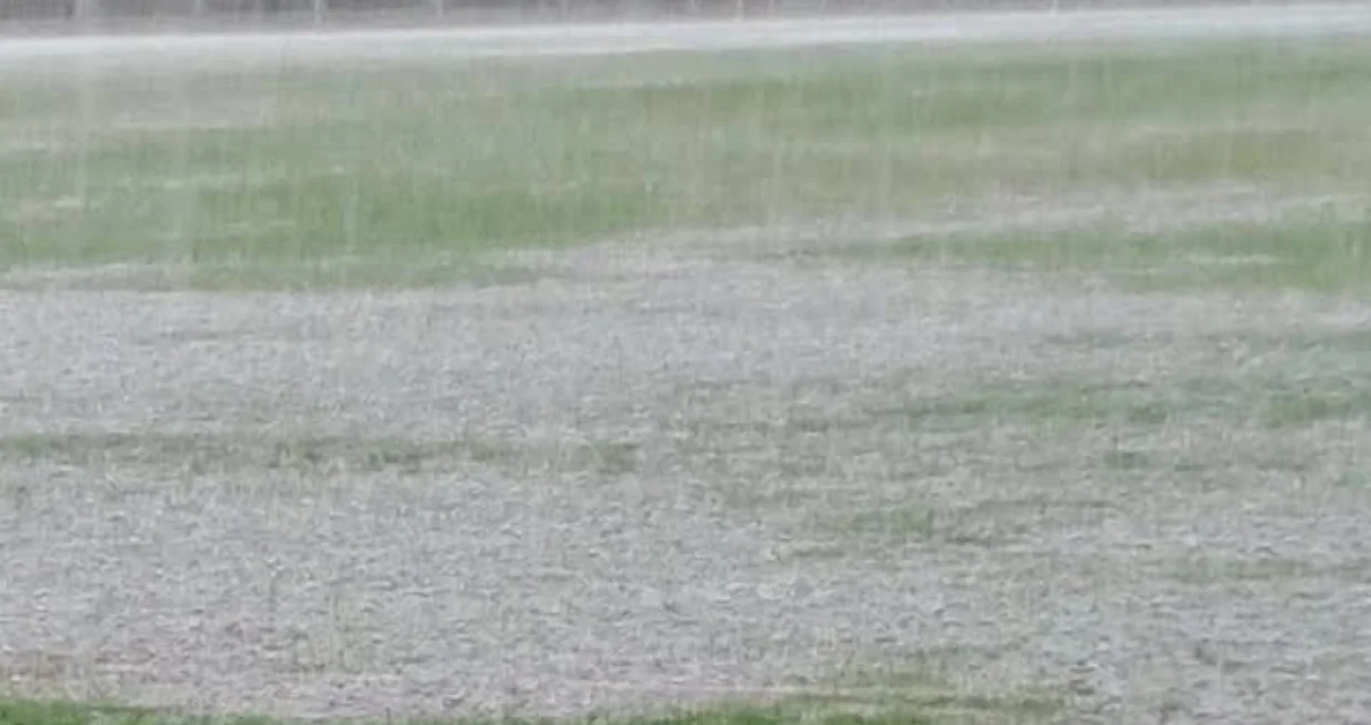 Teren u Grudama/Foto: 