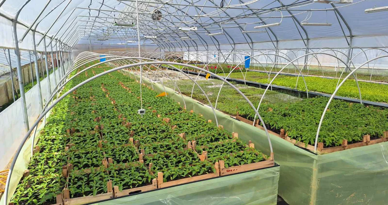 Savremeni plastenik automatizovani plastenik/Министарство пољ