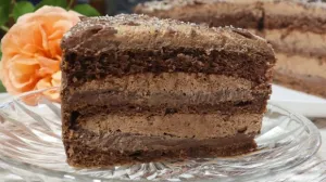 Svi su je voljeli/You Tube/@emilijinakuhinja