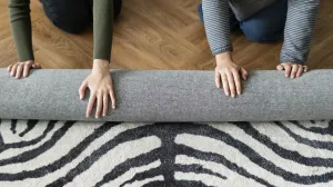 Čist tepih, zdrav dom/Free Pik