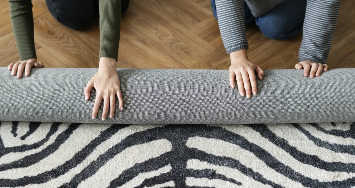 Čist tepih, zdrav dom/Free Pik