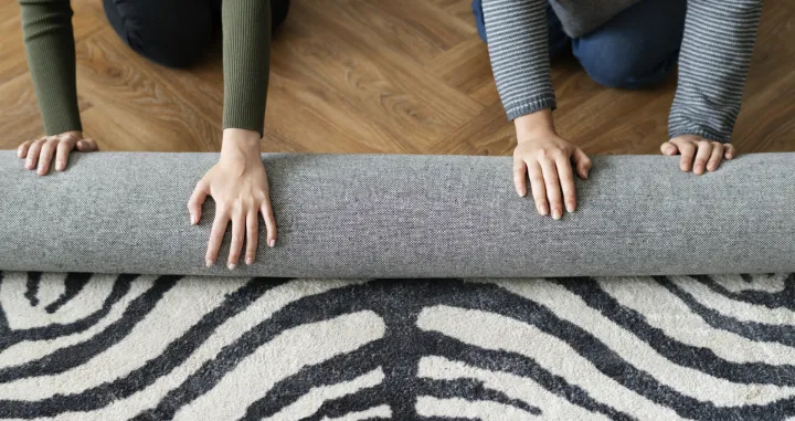 Čist tepih, zdrav dom/Free Pik