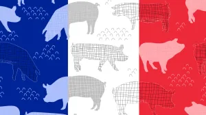 vizual za tekst - Francuska istraga: Ruska špijunaža regrutovala Srbe za provokacije u Parizu -/Benjamin Krnić