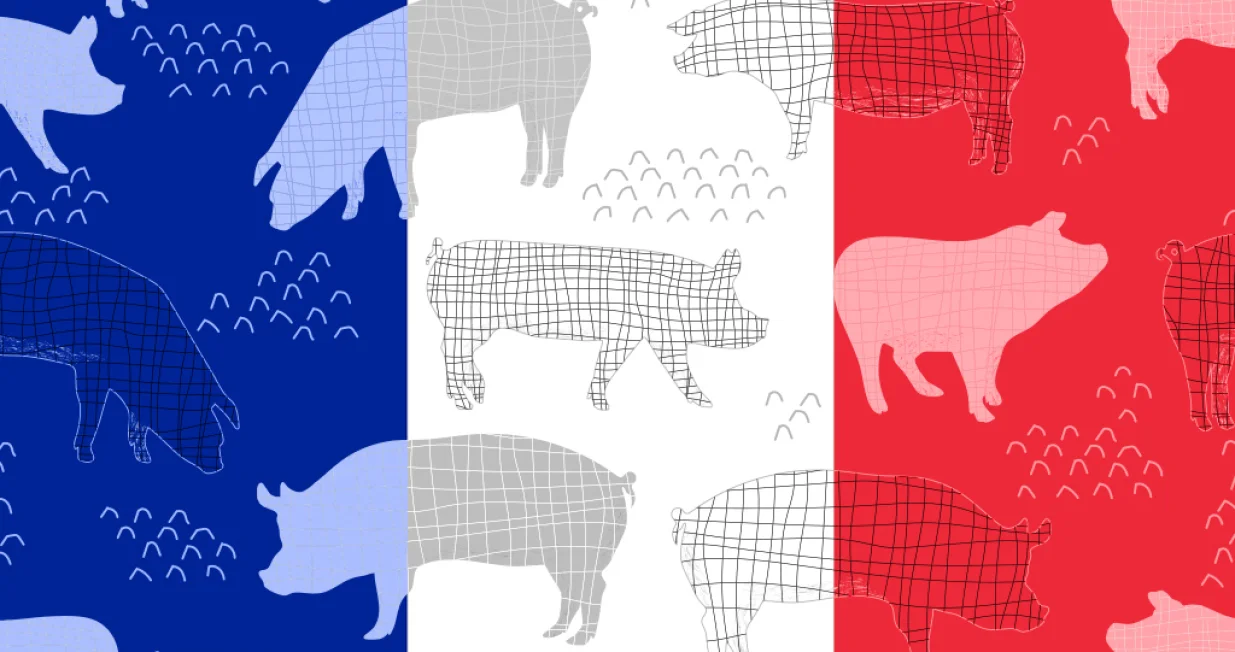 vizual za tekst - Francuska istraga: Ruska špijunaža regrutovala Srbe za provokacije u Parizu -/Benjamin Krnić