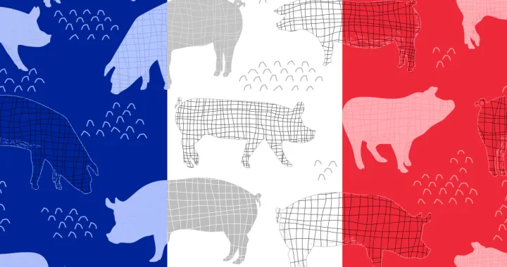 vizual za tekst - Francuska istraga: Ruska špijunaža regrutovala Srbe za provokacije u Parizu -/Benjamin Krnić