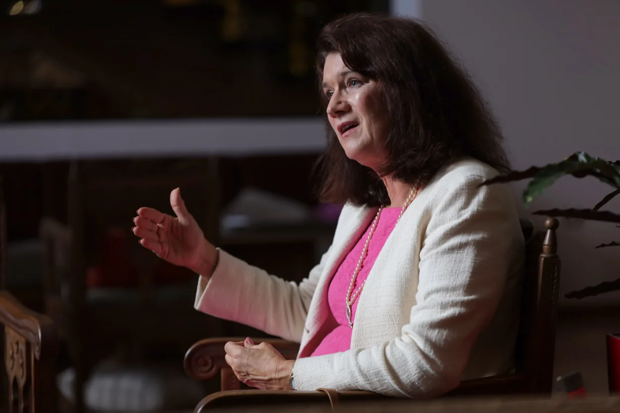 Intervju - Ann Linde/Senad Gubelić