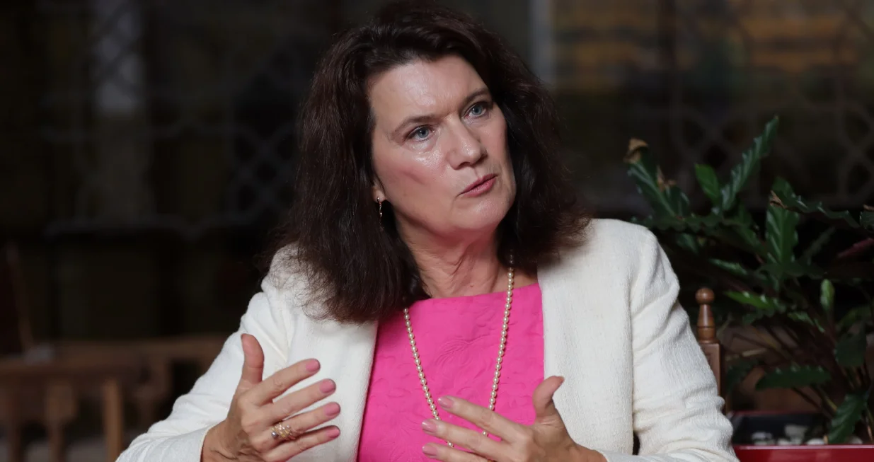 Intervju - Ann Linde/Senad Gubelić