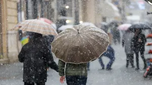 Snijeg ilustracije/Damir Deljo