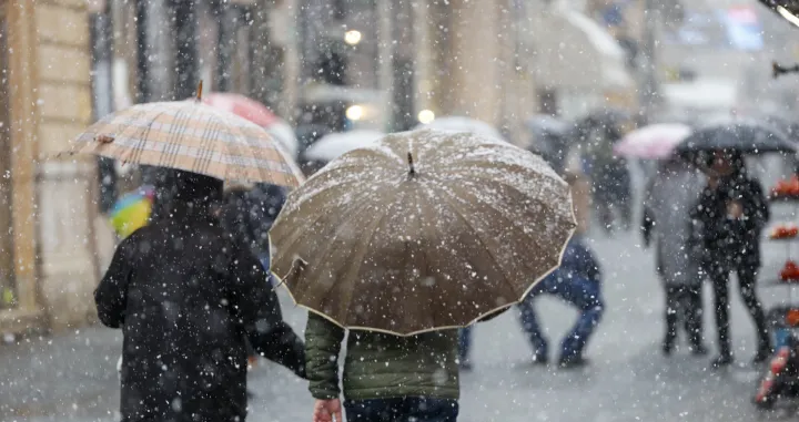 Snijeg ilustracije/Damir Deljo