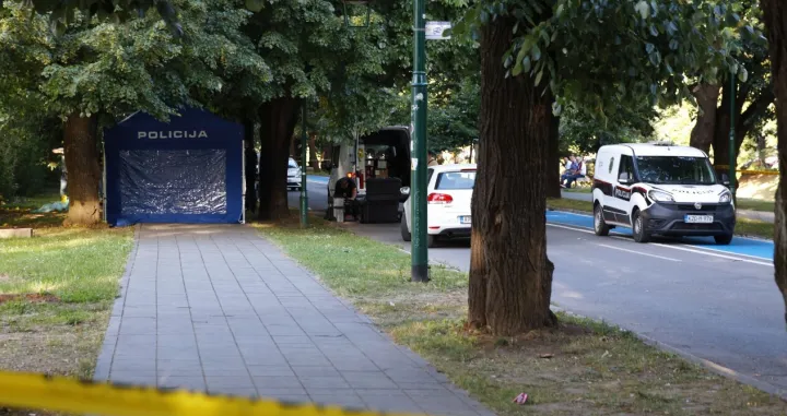 ubistvo na vilsonovom šetalištu/Fena/