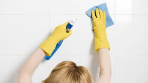 Brisanje plijesni nikad nije bilo lakše/Free Pik