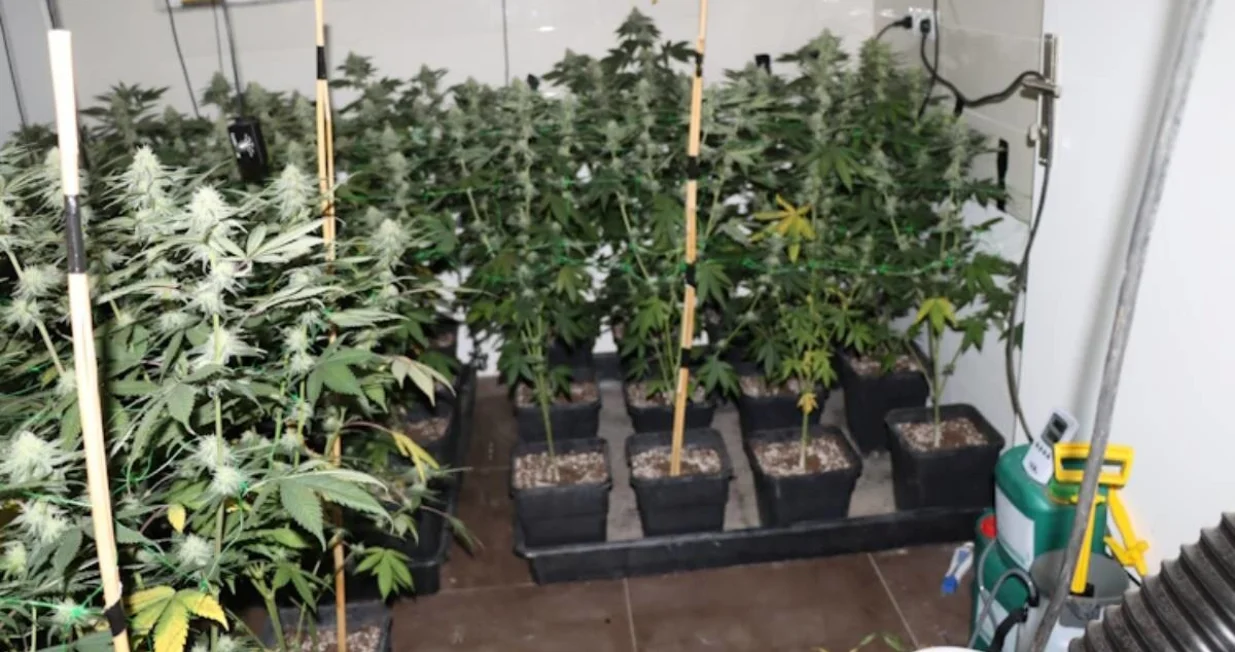 Oduzeta droga/PU Zagreb/