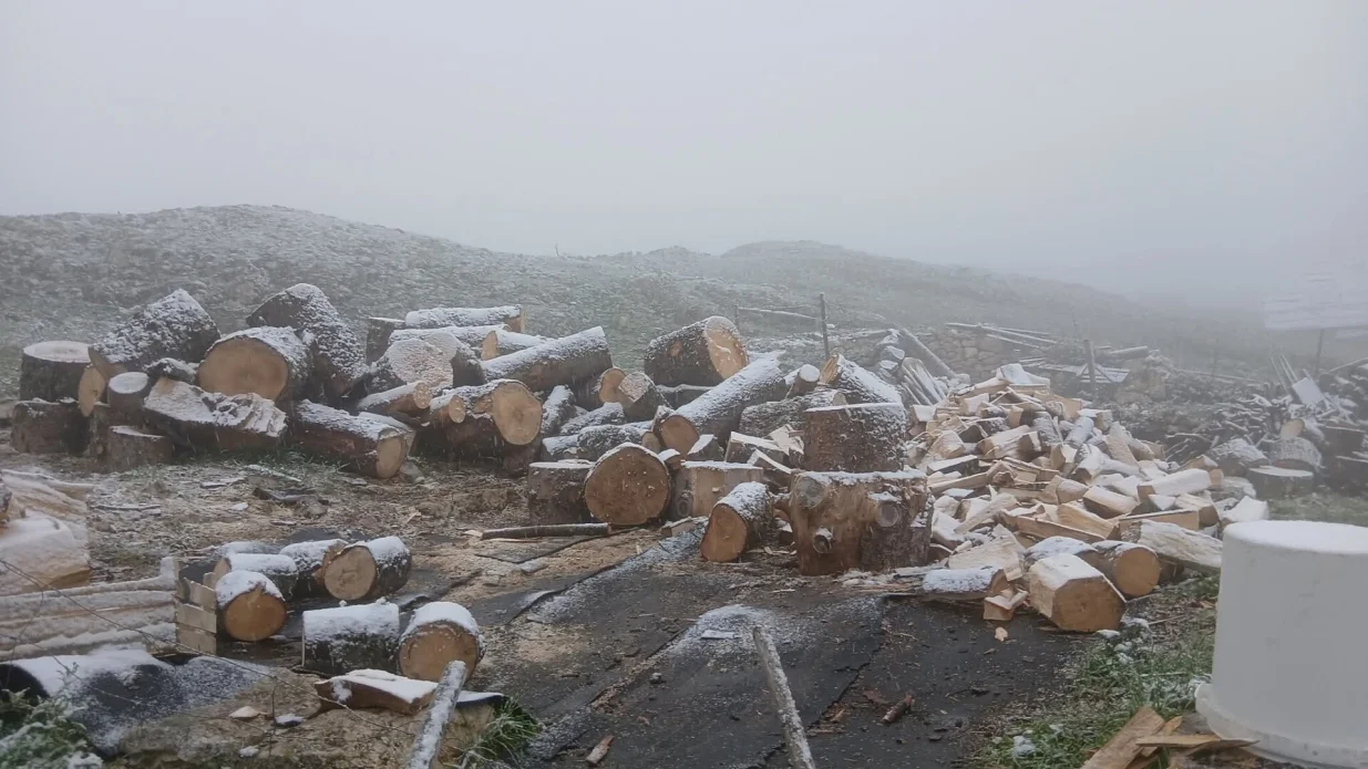 Drva za ogrijev su spremna/Facebook/