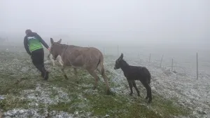 Snijeg se već počeo hvatati po tlu/Facebook/