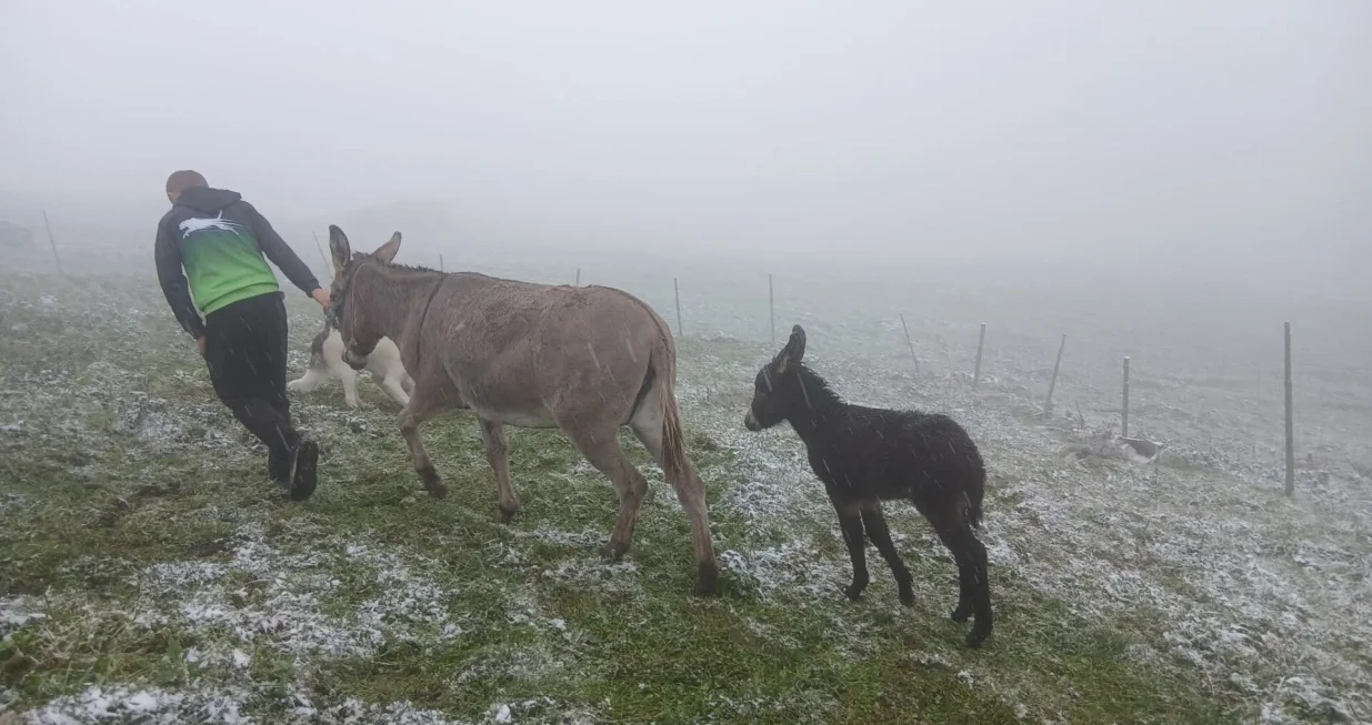 Snijeg se već počeo hvatati po tlu/Facebook/