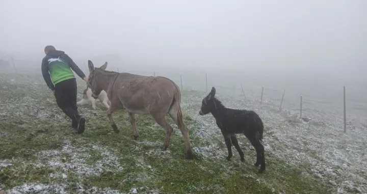 Snijeg se već počeo hvatati po tlu/Facebook/