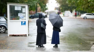 Hladno vrijeme jesen Aleja/Damir Deljo